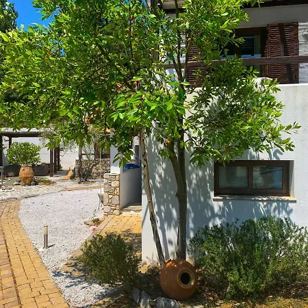 Alypiako